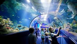 Bristol Aquarium